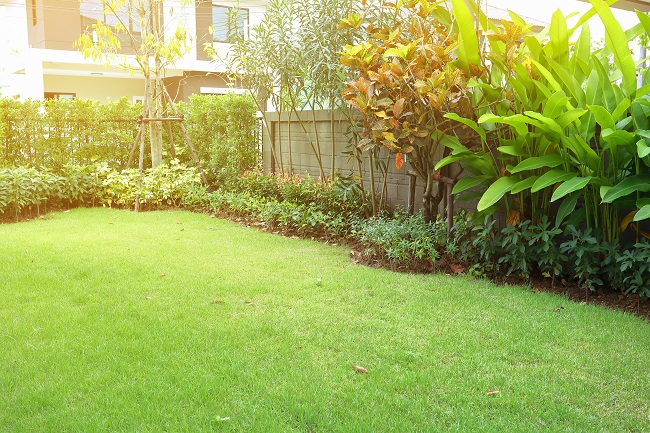 Aranżacja ogrodu z zieloną trawą i małym krzewem w zapleczu wystroju domu