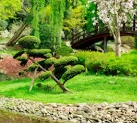 blog/ogrod-w-stylu-japonskim-rosliny-dekoracje-zasady-aranzacji-i-projektowania/639-ogrod-w-stylu-japonskim-rosliny-dekoracje-zasady-aranzacji-i-projektowania.webp