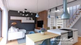 Projekt domu Adam (5)