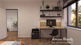 Projekt domu Leon (14)