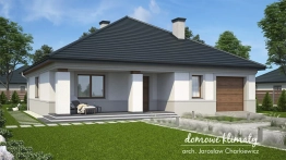 Projekt domu Alt (1)