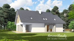 Projekt domu Bagatela IV DD (2)