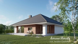 Projekt domu Barwinek (2)