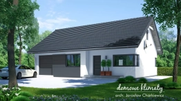 Projekt domu Beryl (1)