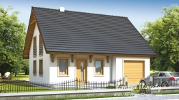 Projekt domu Biedronka (1)