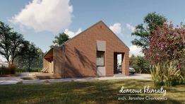 Projekt domu Daktyl 2 (2)