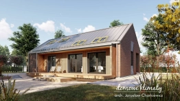 Projekt domu Daktyl 2 (4)