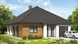 Projekt domu Daktyl N (1)