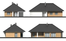 Projekt domu Daktyl N (2)