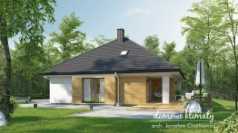 Projekt domu Delta (2)