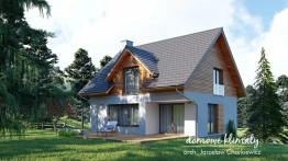 Projekt domu Dom na stoku (2)