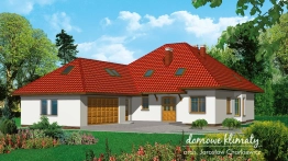 Projekt domu Domino (1)