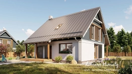 Projekt domu Elf 2 (2)