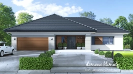 Projekt domu Goliat III (1)