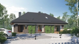 Projekt domu Igraszka III (2)