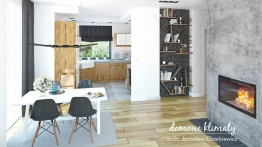 Projekt domu Lupo II (5)