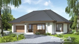 Projekt domu Malwa (1)