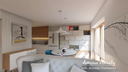 Projekt domu Mrówka 2 B (6)