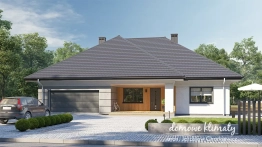 Projekt domu Neptun III (1)