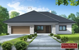 Projekt domu Neptun III (3)