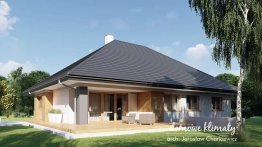 Projekt domu Neptun IV (3)