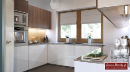 Projekt domu Neptun (6)