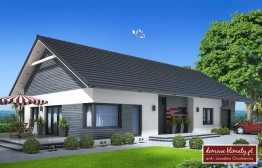 Projekt domu Papaja (1)