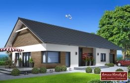 Projekt domu Papaja (2)