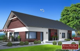 Projekt domu Papaja (3)