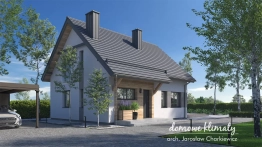 Projekt domu Skromny (1)