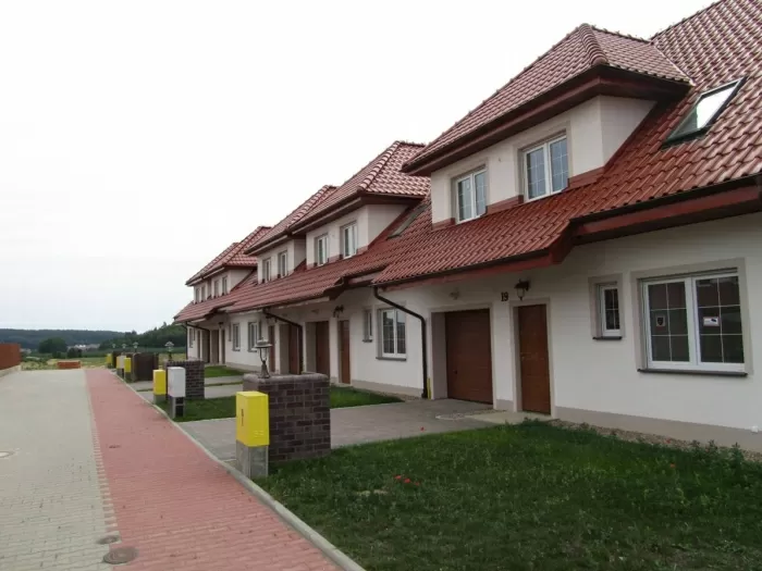 Szafran
