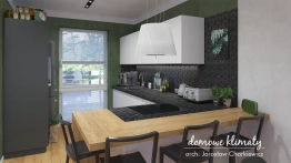 Projekt domu Szpinak 2 G (N) szeregówka pref. (10)