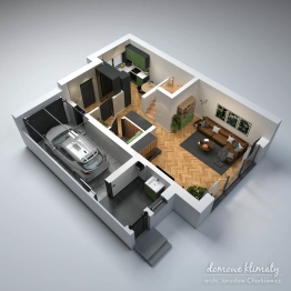 Projekt domu Szpinak (18)