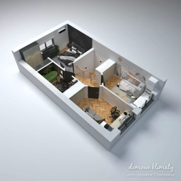 Projekt domu Szpinak (17)