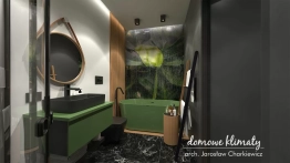 Projekt domu Szpinak (13)