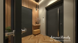 Projekt domu Szpinak (7)