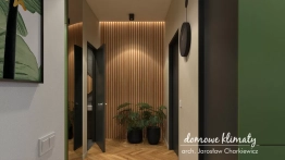 Projekt domu Szpinak (8)