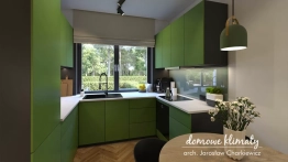 Projekt domu Szpinak (9)