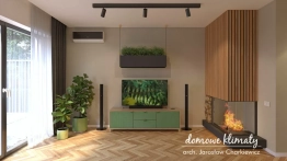 Projekt domu Szpinak (10)