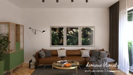 Projekt domu Szpinak (11)