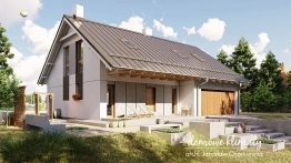 Projekt domu Wilk (1)