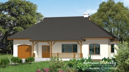 Projekt domu Zenit (1)