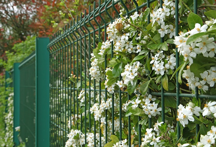Nowoczesne ogrodzenie panelowe z siatki