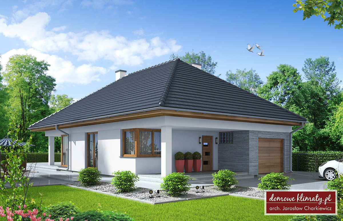 House design Igraszk